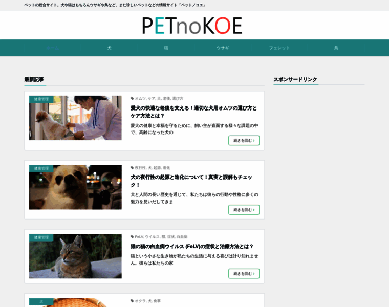 Petnokoe.com thumbnail