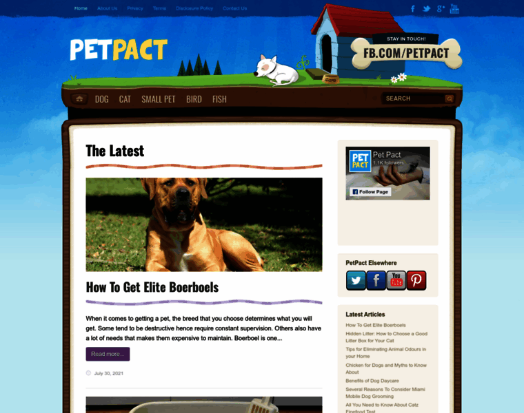 Petpact.com thumbnail