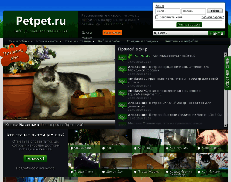 Petpet.ru thumbnail