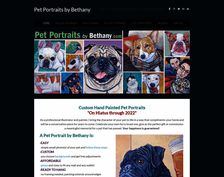 Petportraitsbybethany.com thumbnail
