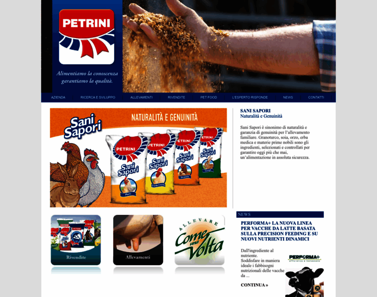 Petrini.com thumbnail