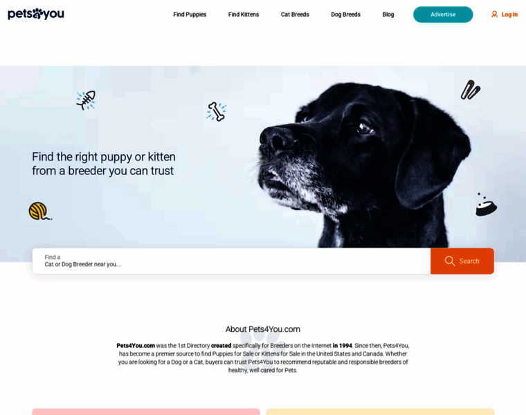 Pets4you.com thumbnail Pets4you.com thumbnail