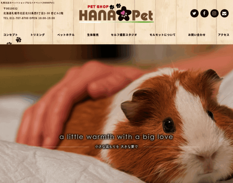 Petshop-hanapet.com thumbnail