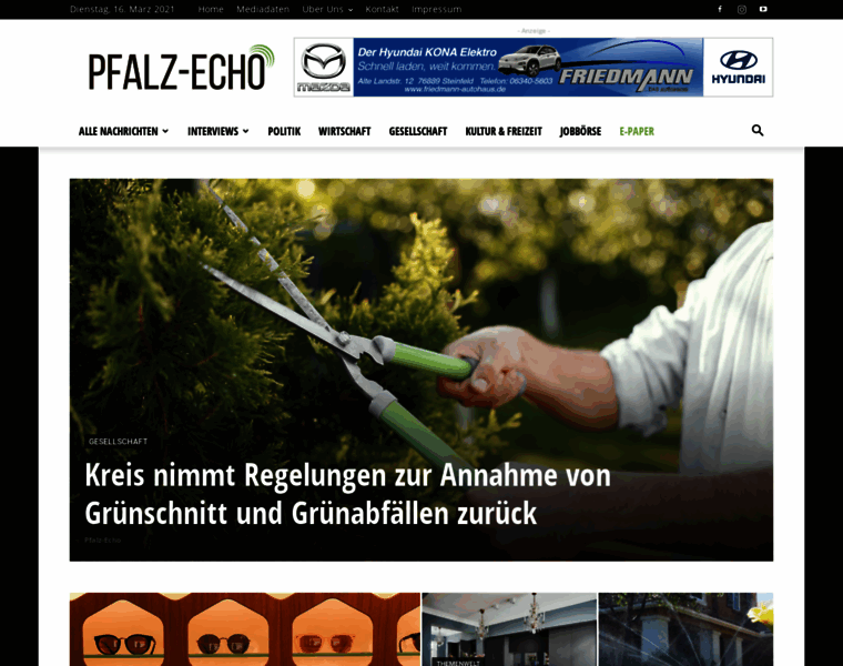 Pfalz-echo.de thumbnail