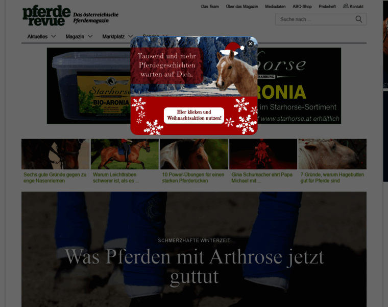 Pferdplus.com thumbnail