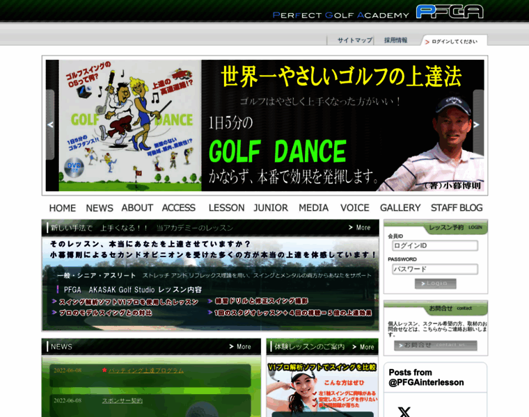 Pfga.co.jp thumbnail