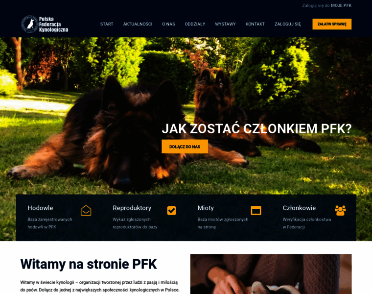 Pfk.org.pl thumbnail