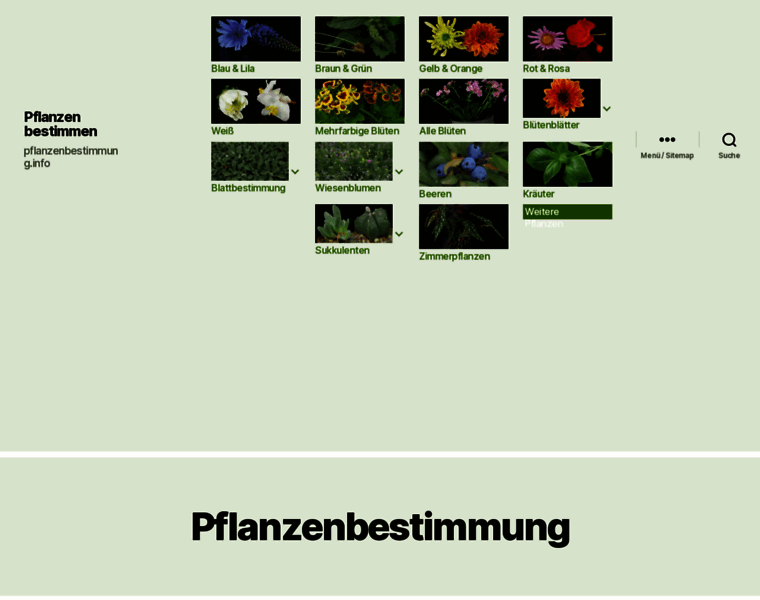 Pflanzenbestimmung.info thumbnail