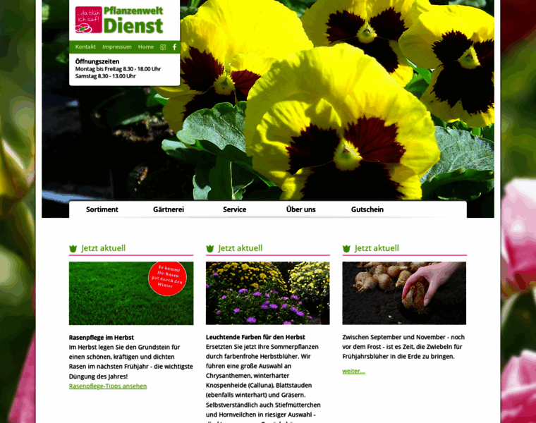 Pflanzenwelt-dienst.de thumbnail