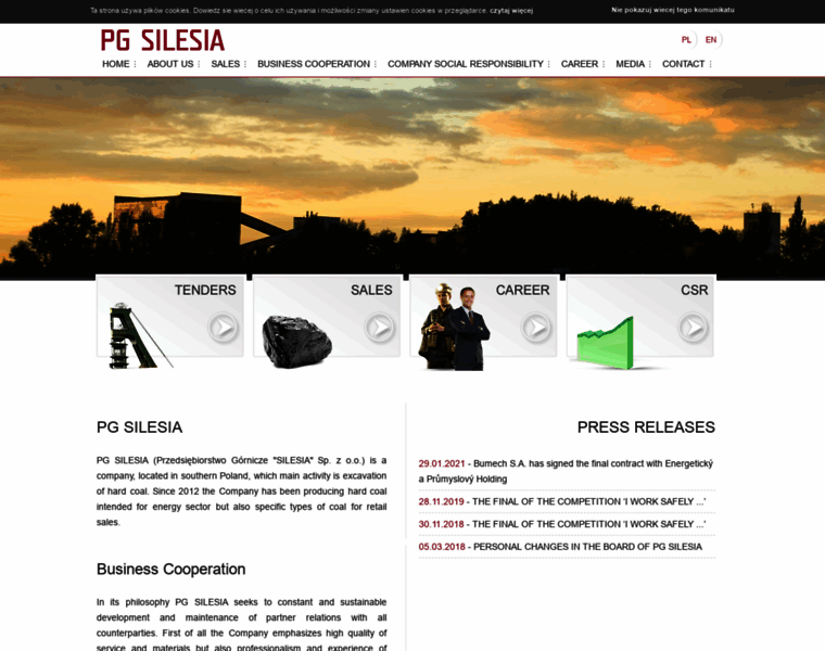 Pgsilesia.pl thumbnail