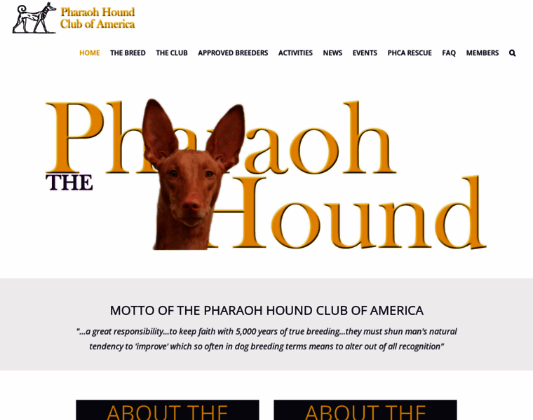 Ph-club.org thumbnail