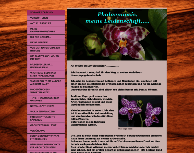 Phalaenopsis-meine-leidenschaft.de thumbnail