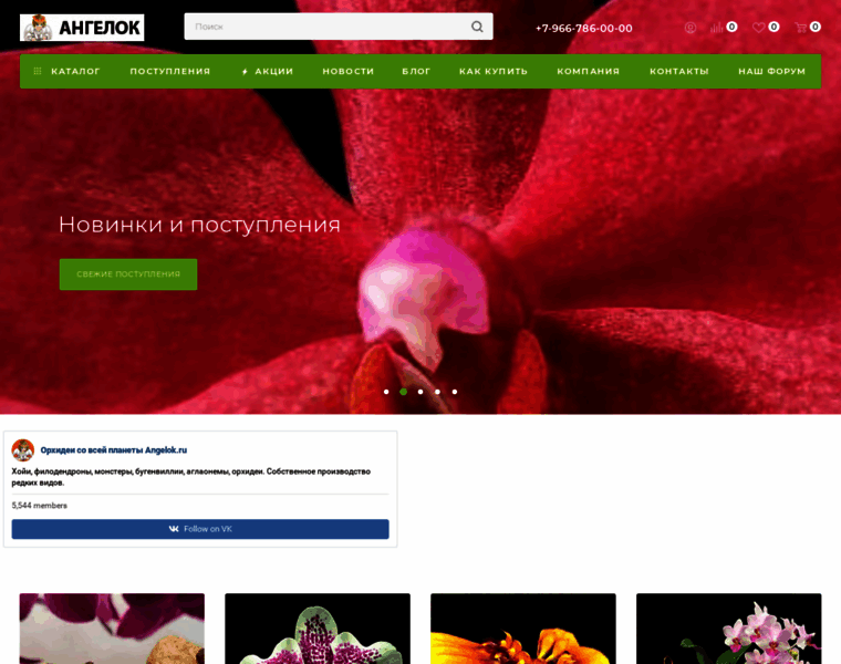 Phalaenopsis.ru thumbnail