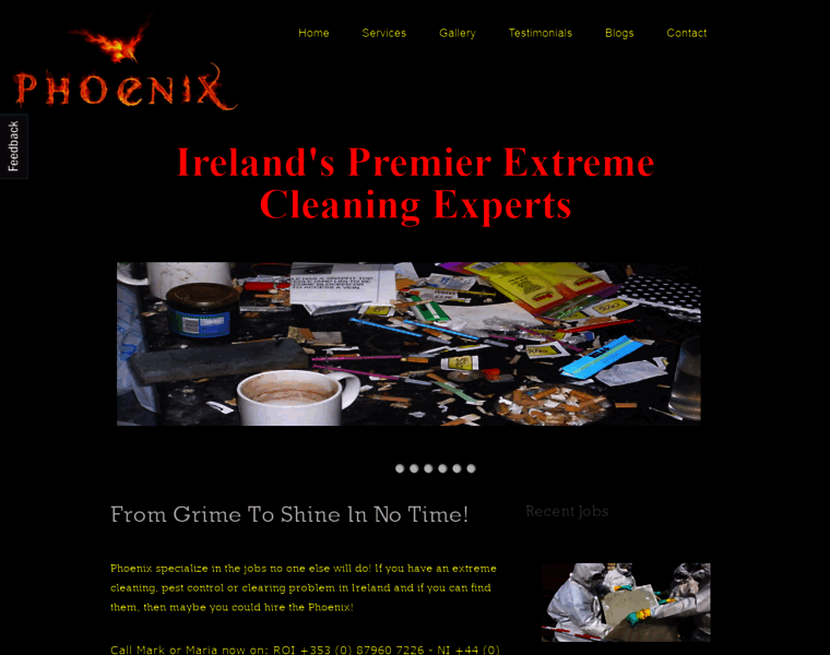 Phoenix-extreme-cleaning-ireland.ie thumbnail