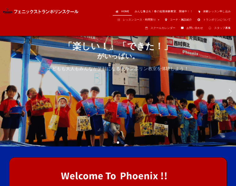 Phoenix-trampoline.com thumbnail