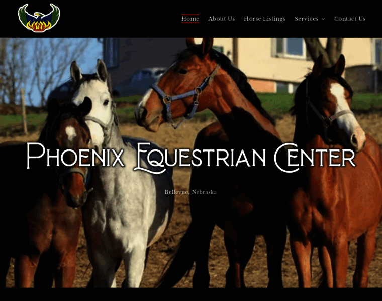 Phoenixequestriancenter.com thumbnail