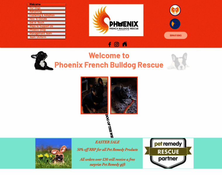 Phoenixfrenchbulldogrescue.org thumbnail