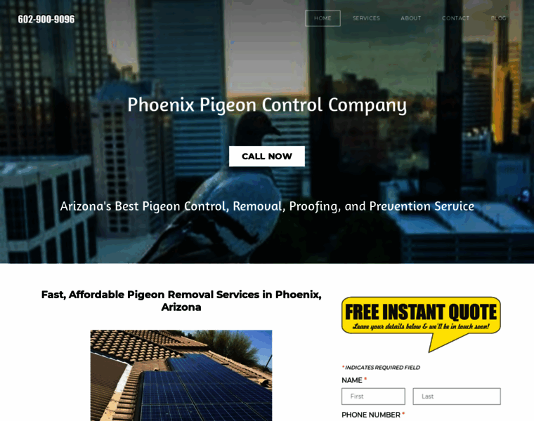 Phoenixpigeons.com thumbnail