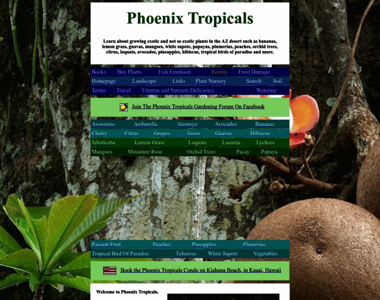 Phoenixtropicals.com thumbnail