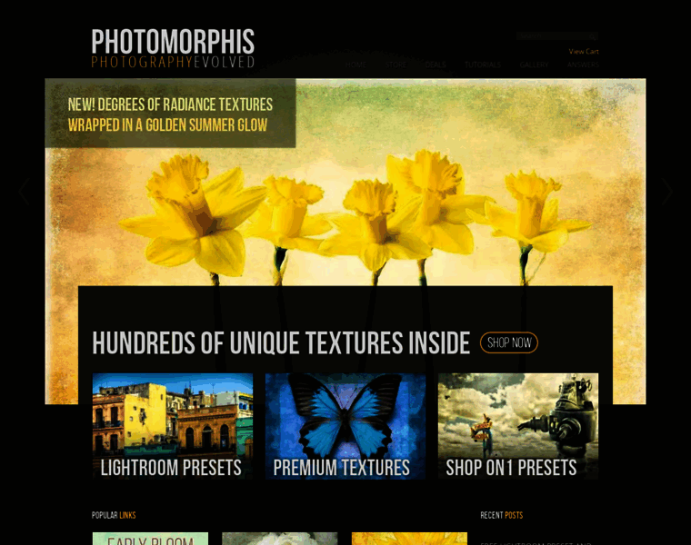Photomorphis.com thumbnail
