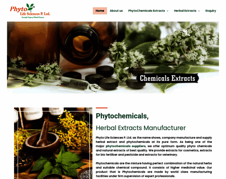 Phytochemicals.in thumbnail