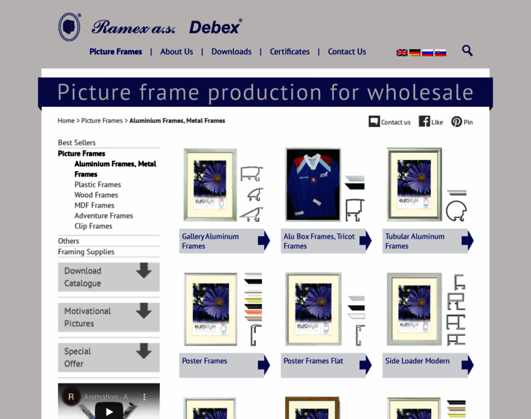 Pictureframes.ch thumbnail