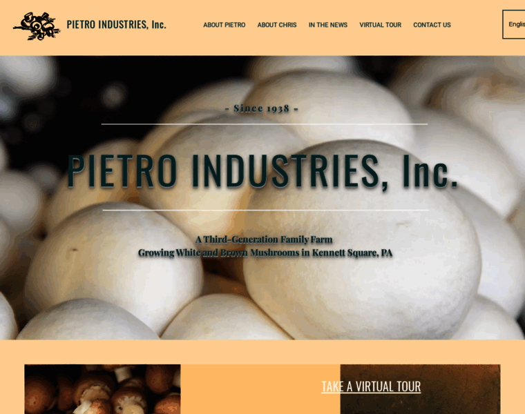Pietroindustries.com thumbnail