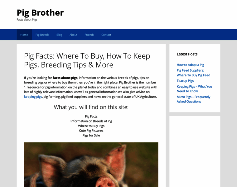 Pigbrother.co.uk thumbnail