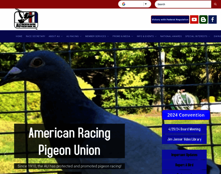 Pigeon.org thumbnail