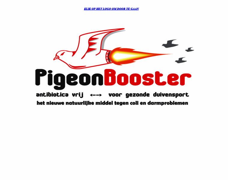 Pigeonbooster.nl thumbnail