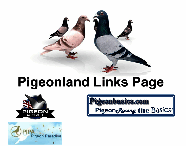 Pigeonland.co.uk thumbnail