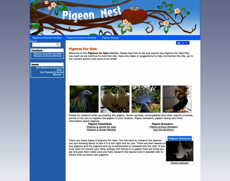 Pigeons-forsale.com thumbnail