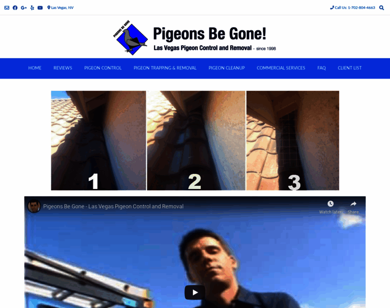 Pigeonsbegone.com thumbnail