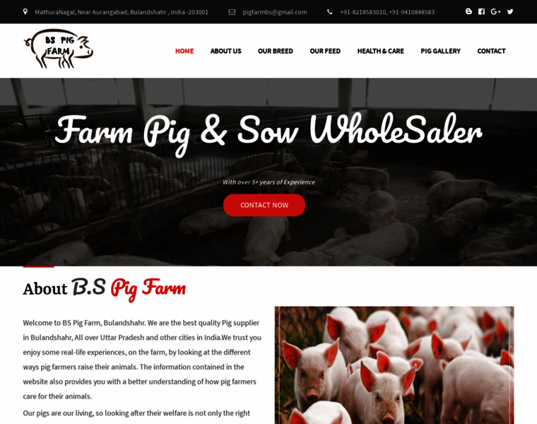 Pigfarm.co.in thumbnail