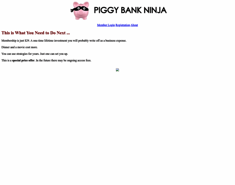 Piggybankninja.com thumbnail