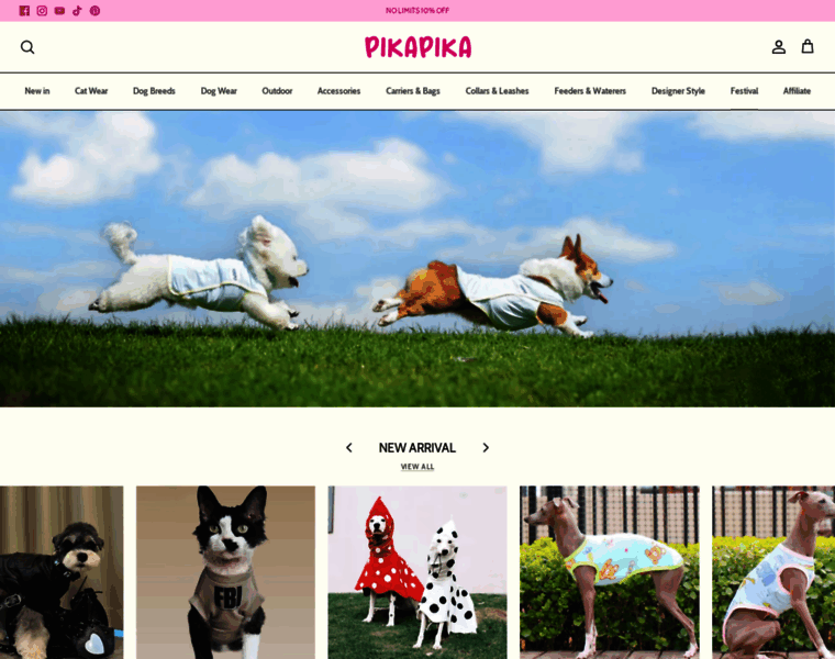 Pikapikatc.com thumbnail Pikapikatc.com thumbnail
