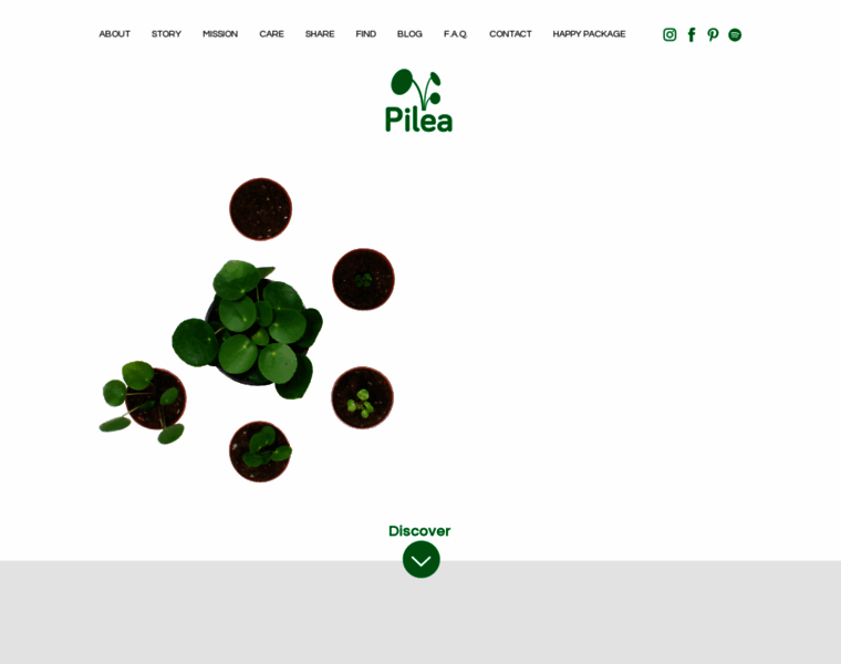 Pilea.com thumbnail