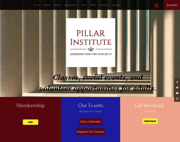 Pillarinstitute.org thumbnail