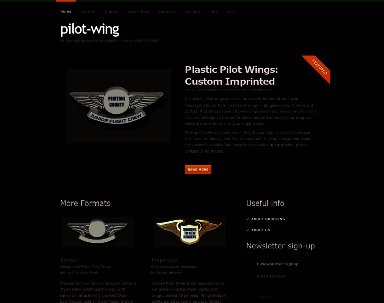 Pilot-wing.com thumbnail