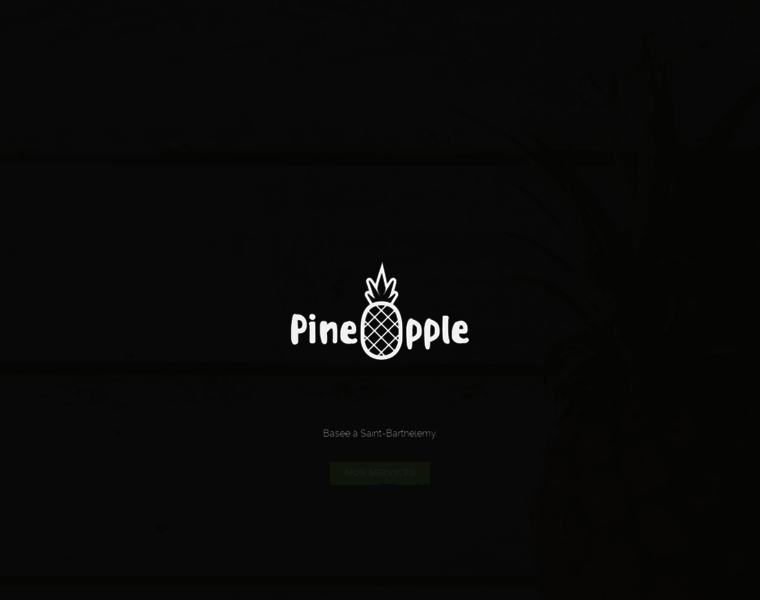 Pineapple-sbh.com thumbnail