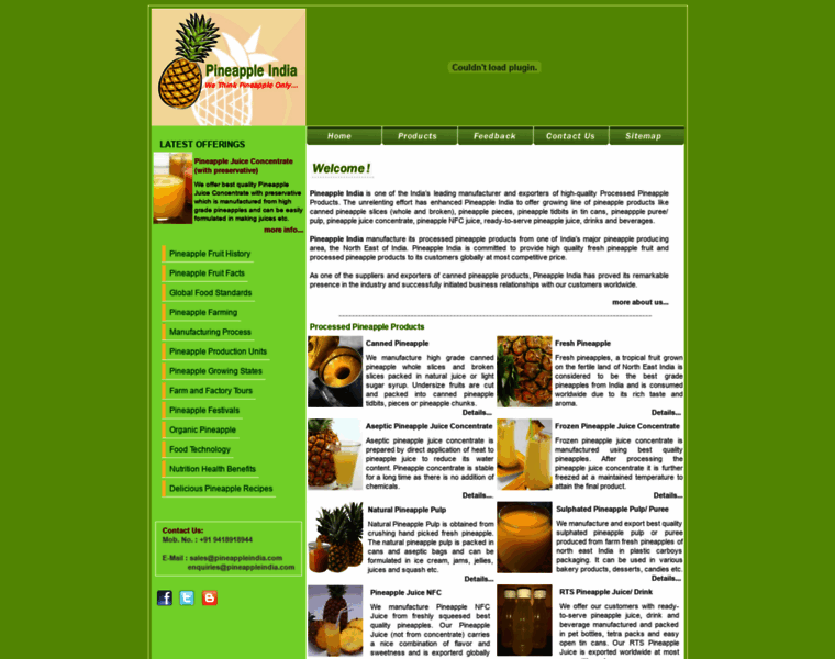 Pineappleindia.com thumbnail