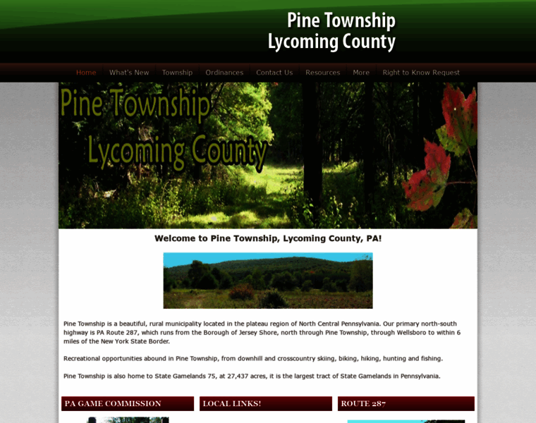Pinetownshiplycomingco.org thumbnail