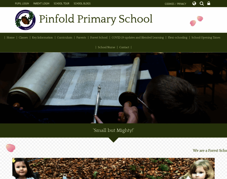 Pinfoldprimaryschool.co.uk thumbnail