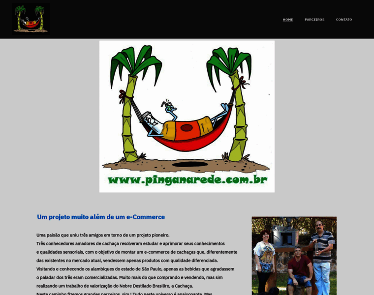 Pinganarede.com.br thumbnail
