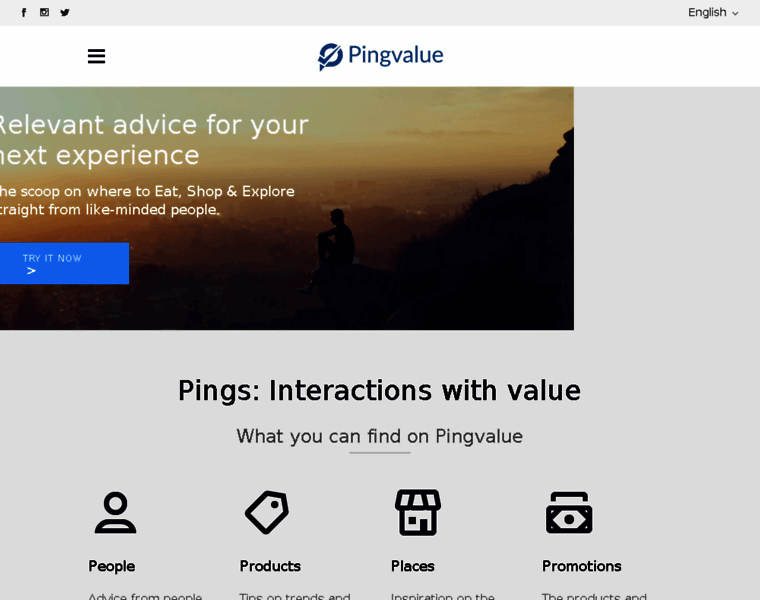 Pingvalue.com thumbnail