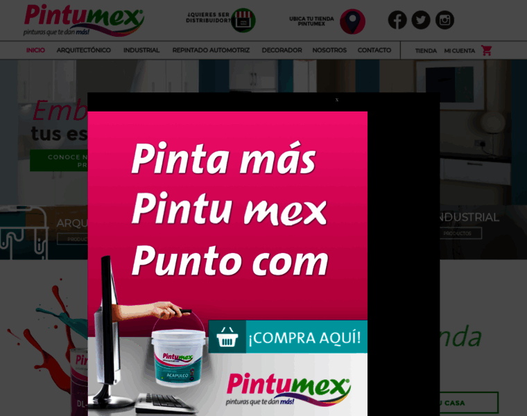 Pintumex.com.mx thumbnail