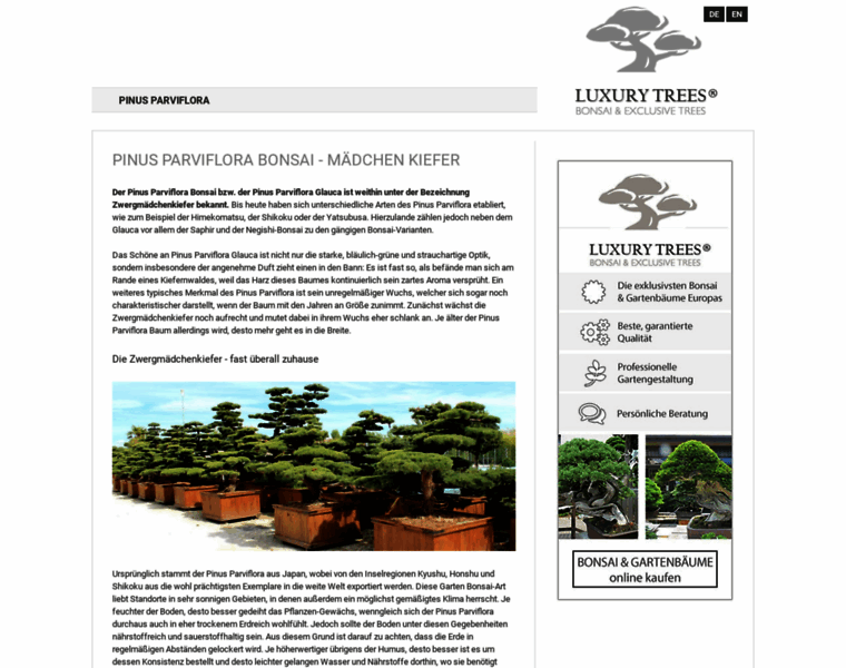 Pinus-parviflora.de thumbnail