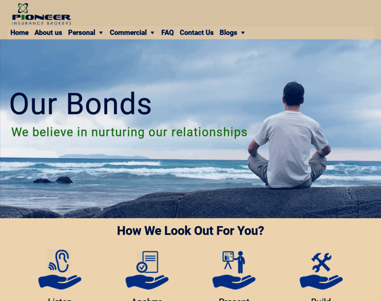 Pioneerinsurancebrokers.com thumbnail