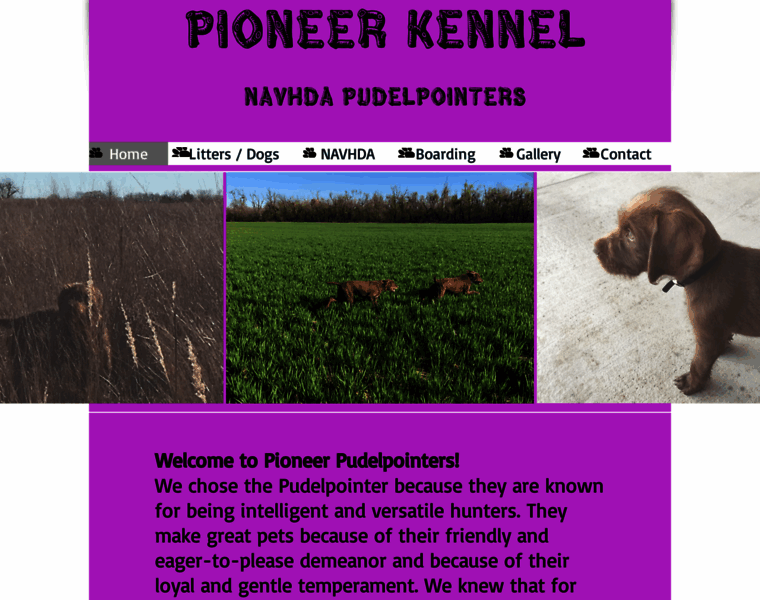 Pioneerpudelpointers.com thumbnail
