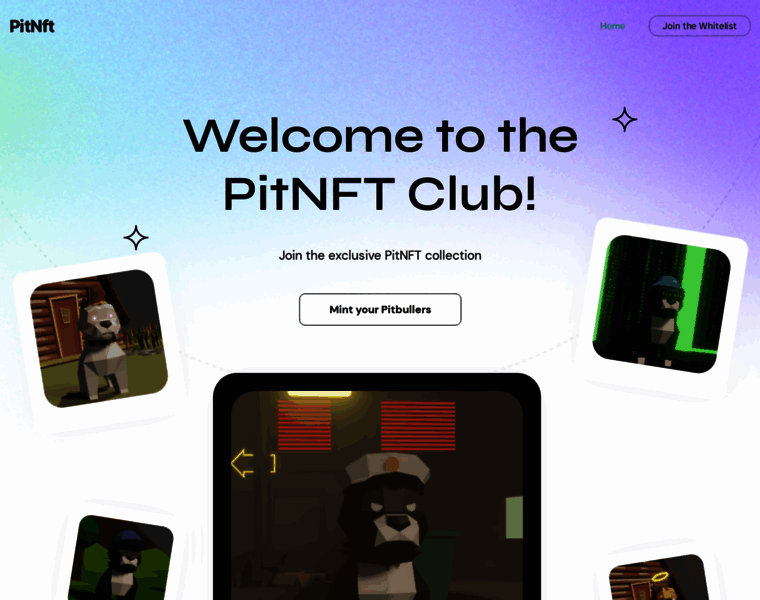 Pitnft.club thumbnail
